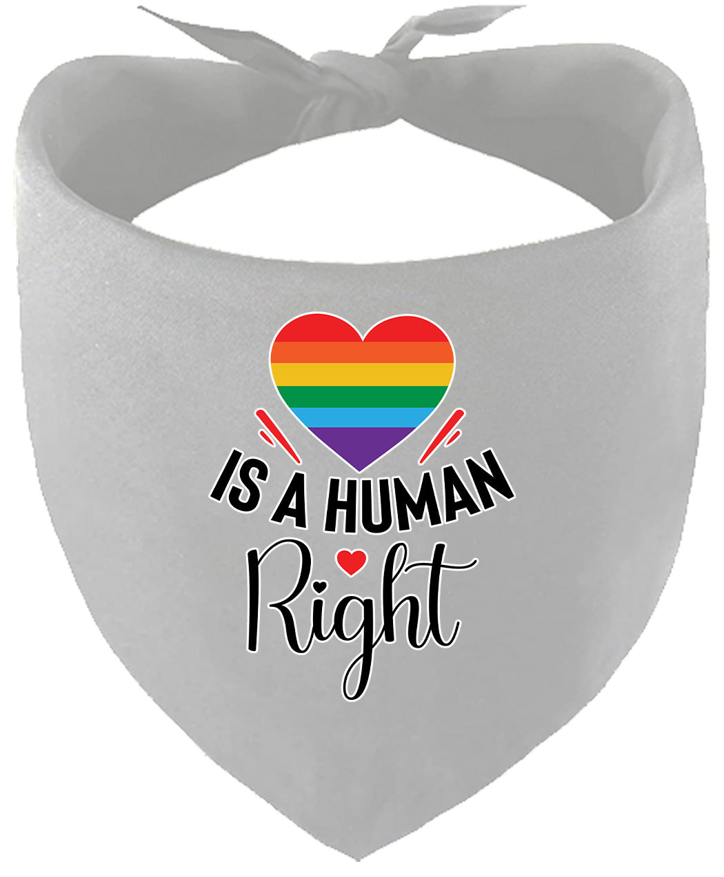 Love is a Human Right Pet Bandana