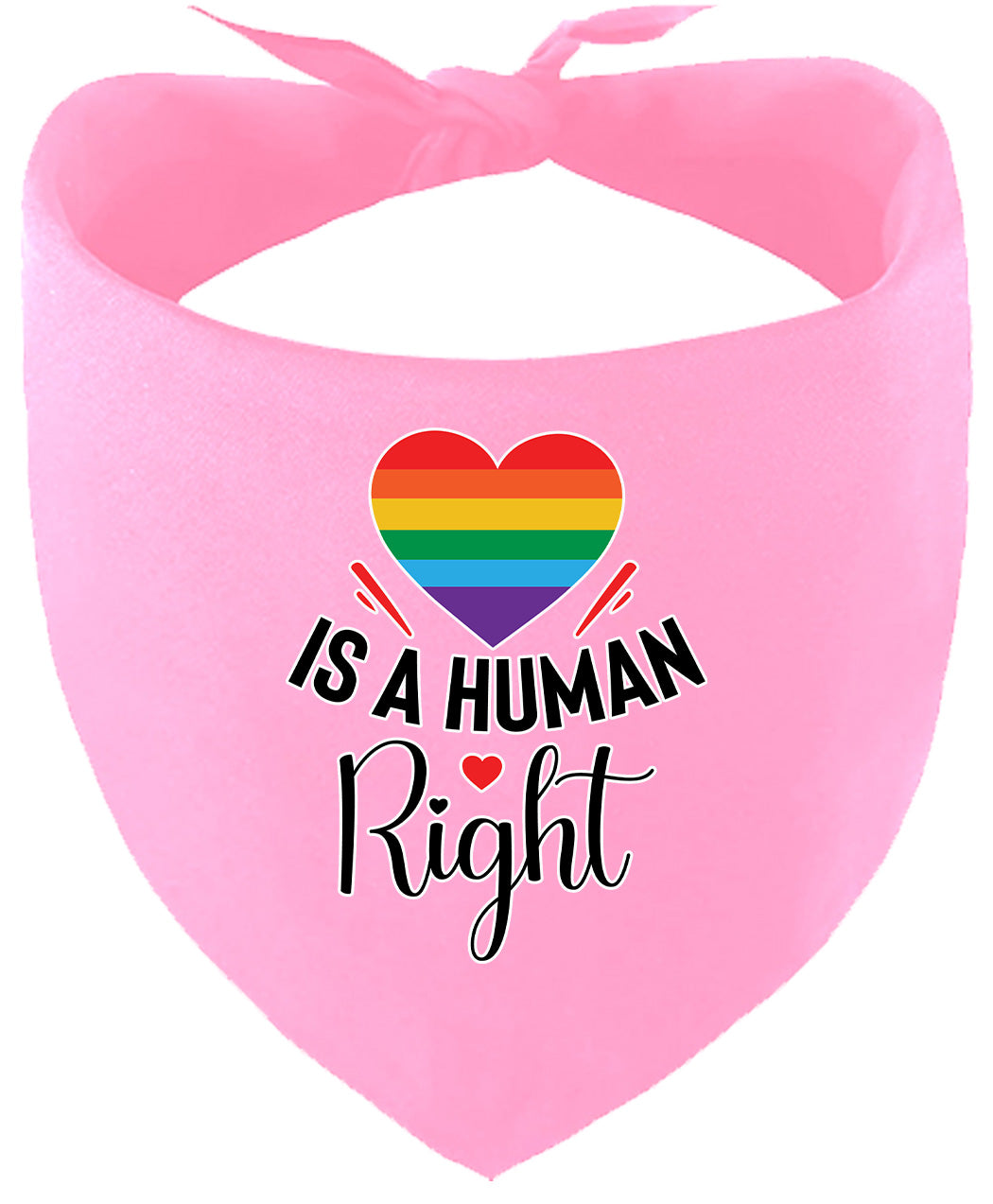 Love is a Human Right Pet Bandana