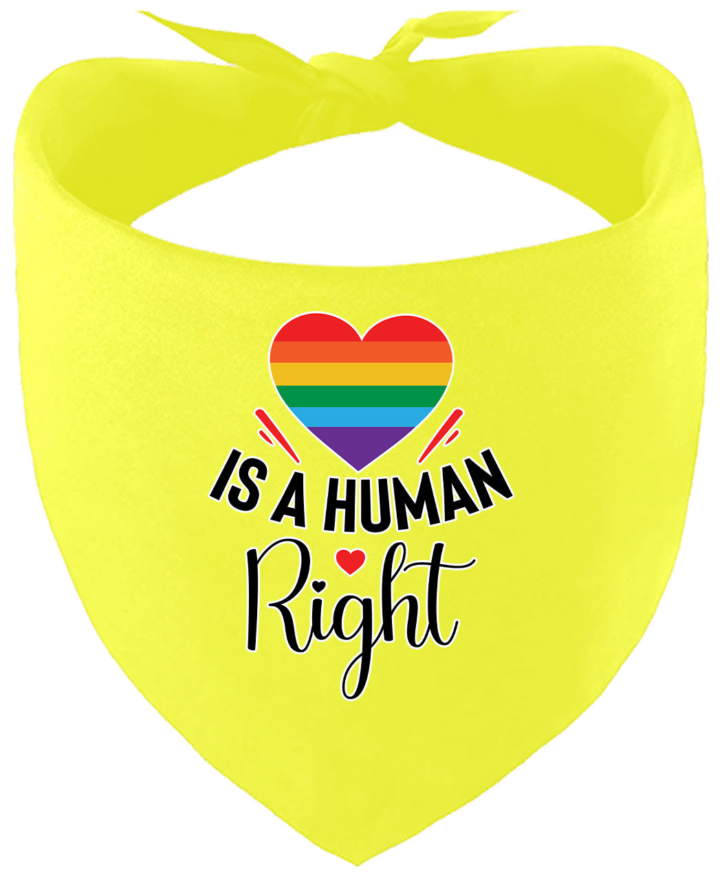 Love is a Human Right Pet Bandana