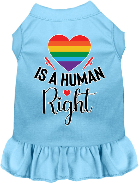 Love is a Human Right Pet Dress