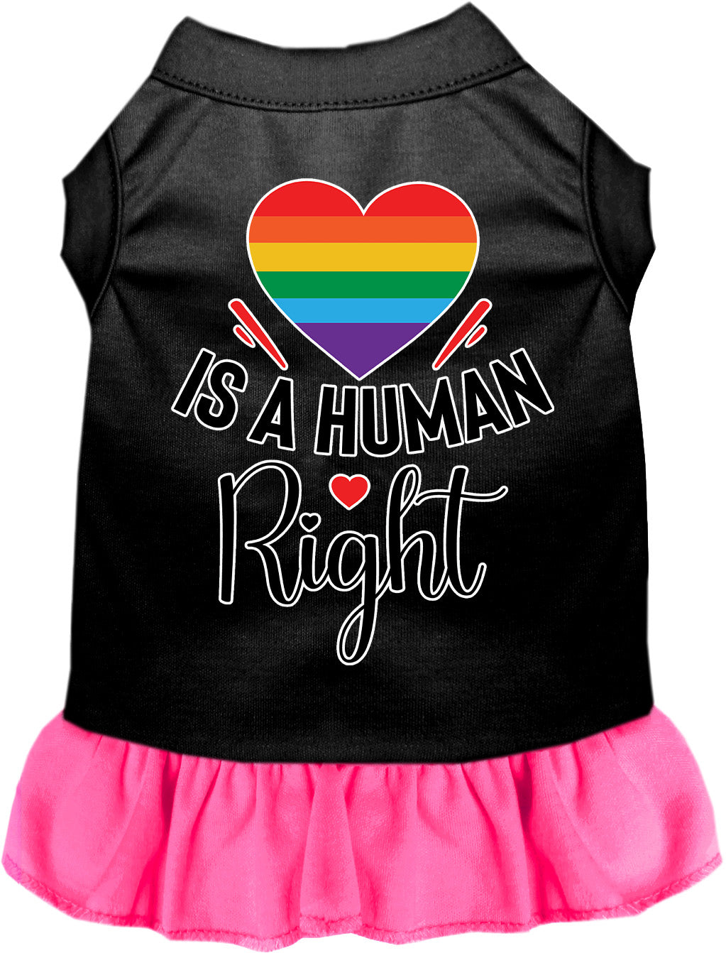 Love is a Human Right Pet Dress