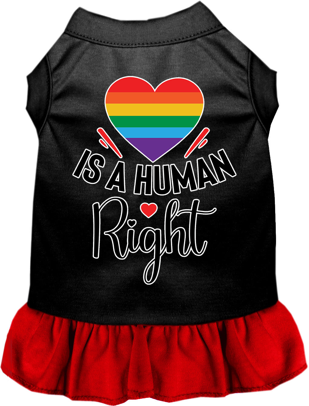 Love is a Human Right Pet Dress