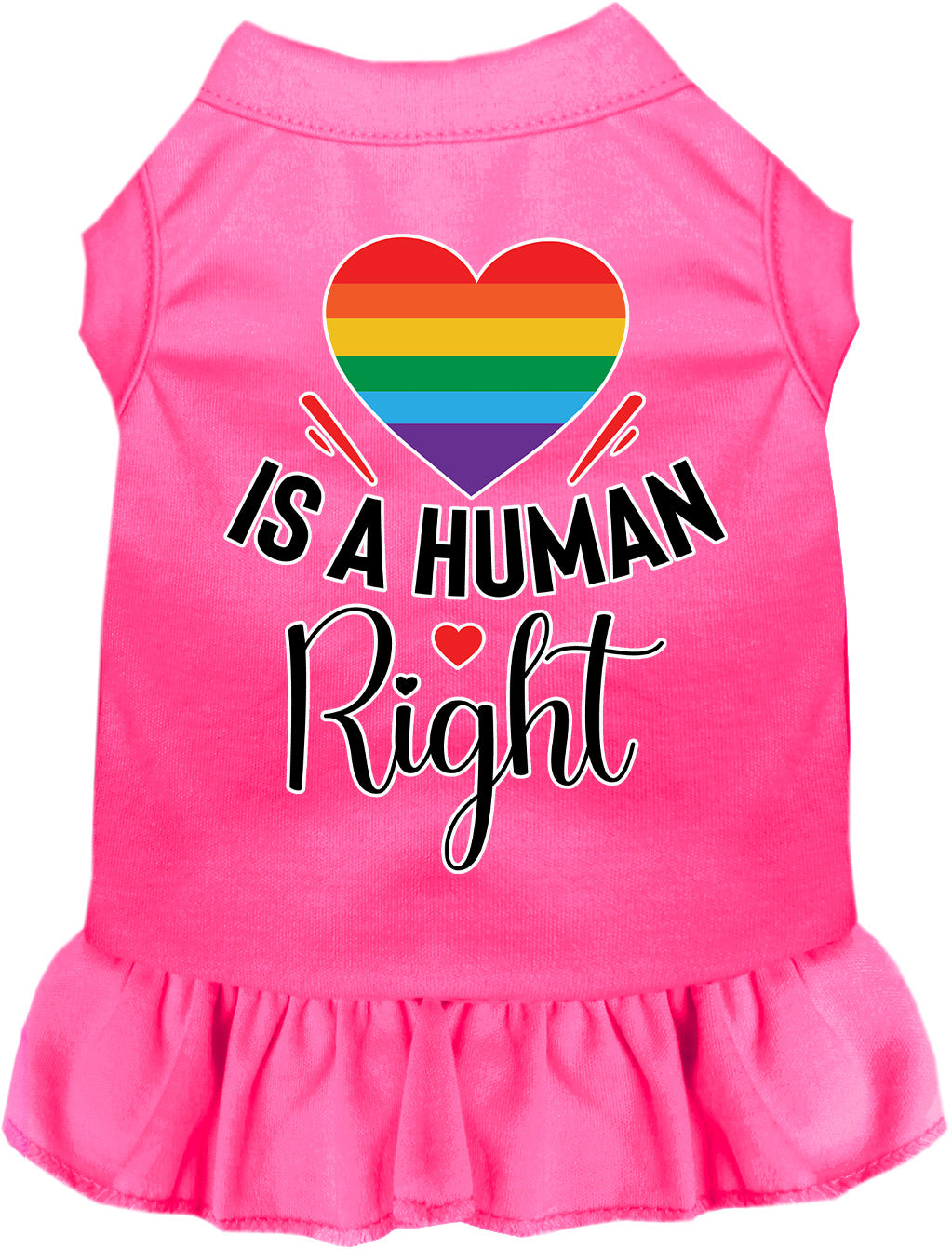 Love is a Human Right Pet Dress