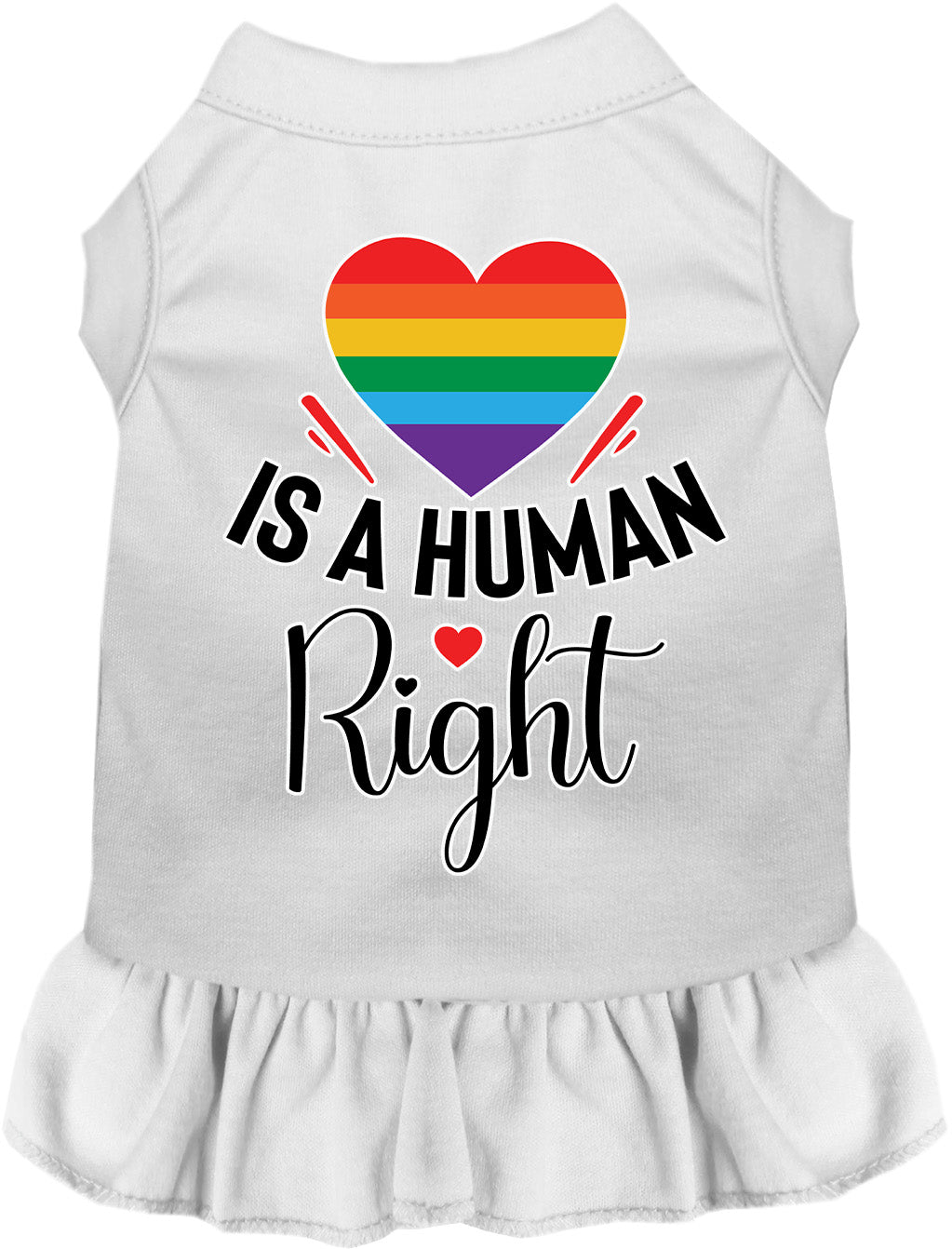 Love is a Human Right Pet Dress
