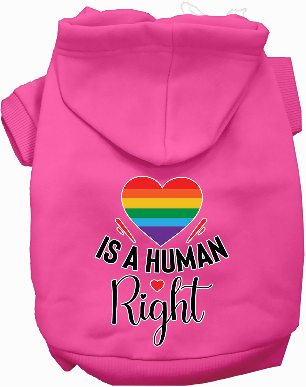 Love is a Human Right Pet Hoodie