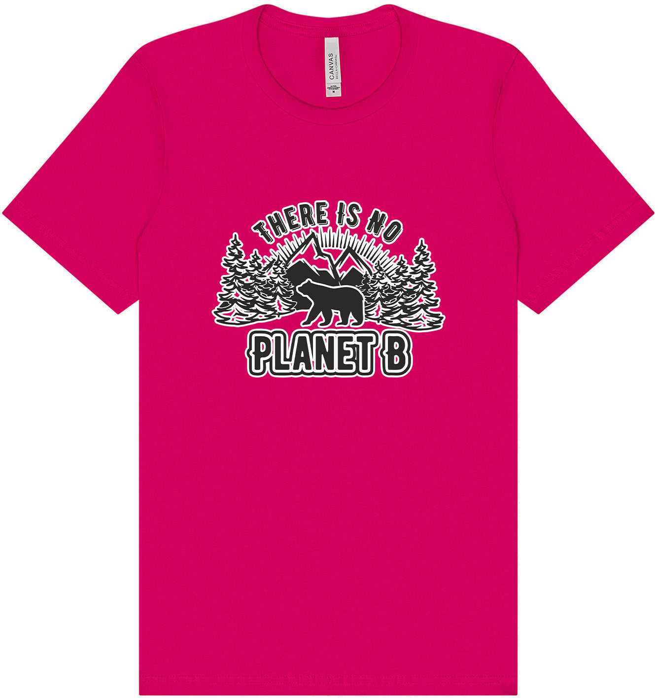 No Planet B Adult Bella Canvas Shirt