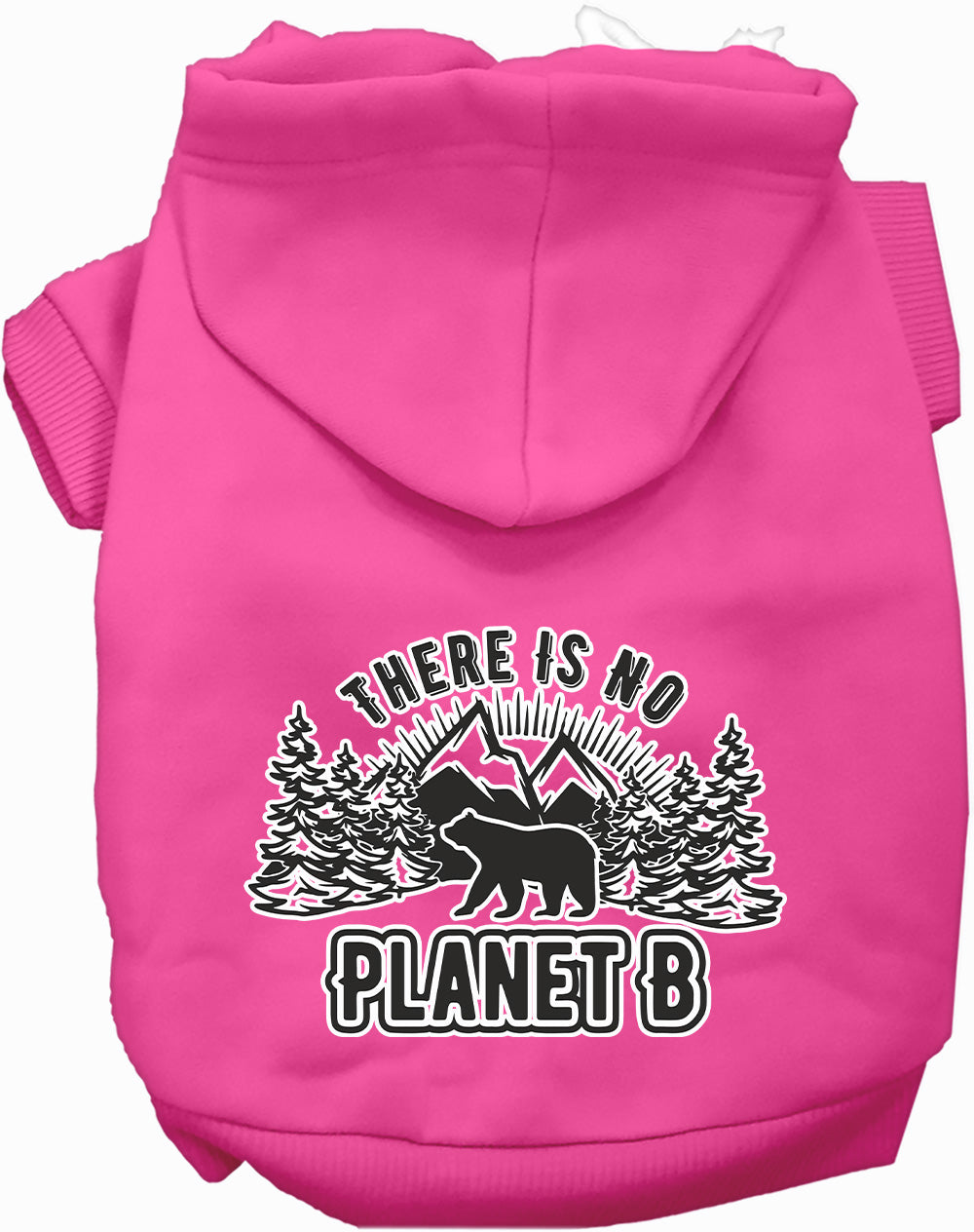 No Planet B Pet Hoodie