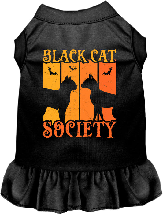 Black Cat Society pet dress with black skirt