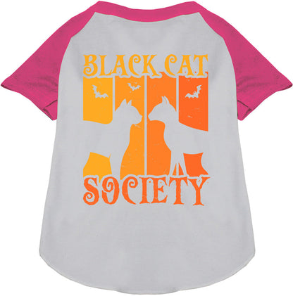 Gray Black Cat Society pet raglan shirt with pink sleeves