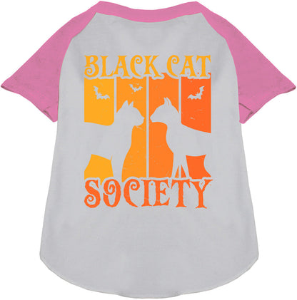 Gray Black Cat Society pet raglan shirt with light pink sleeves