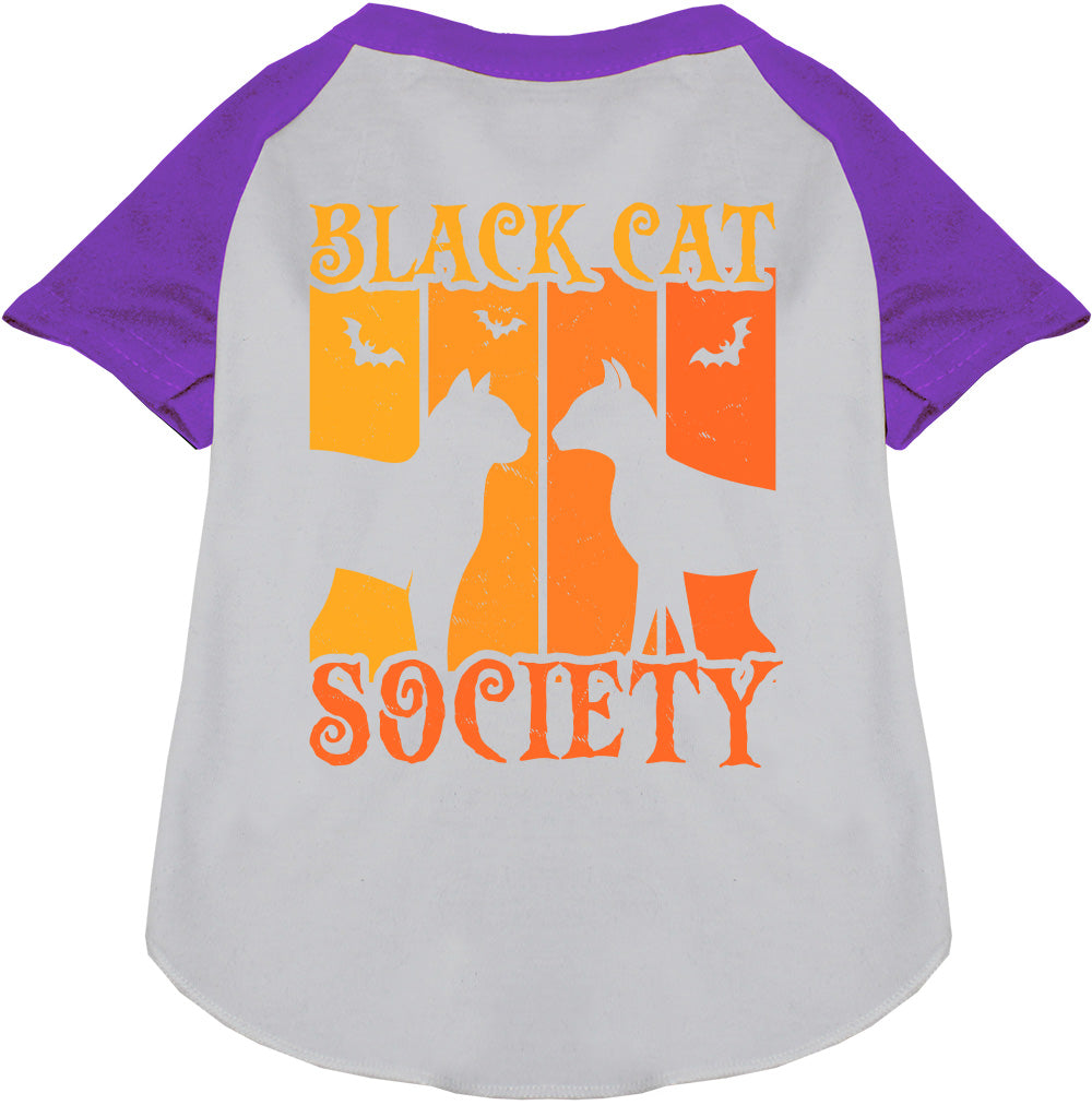 Gray Black Cat Society pet raglan shirt with purple sleeves