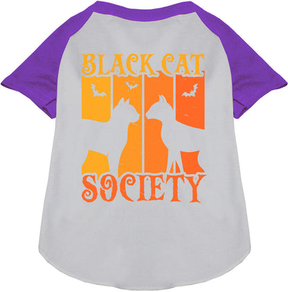 Gray Black Cat Society pet raglan shirt with purple sleeves