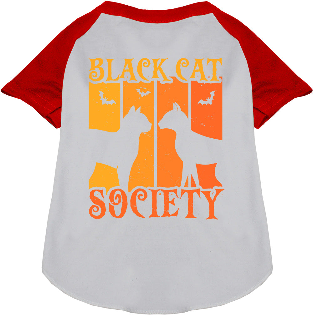 Gray Black Cat Society pet raglan shirt with red sleeves