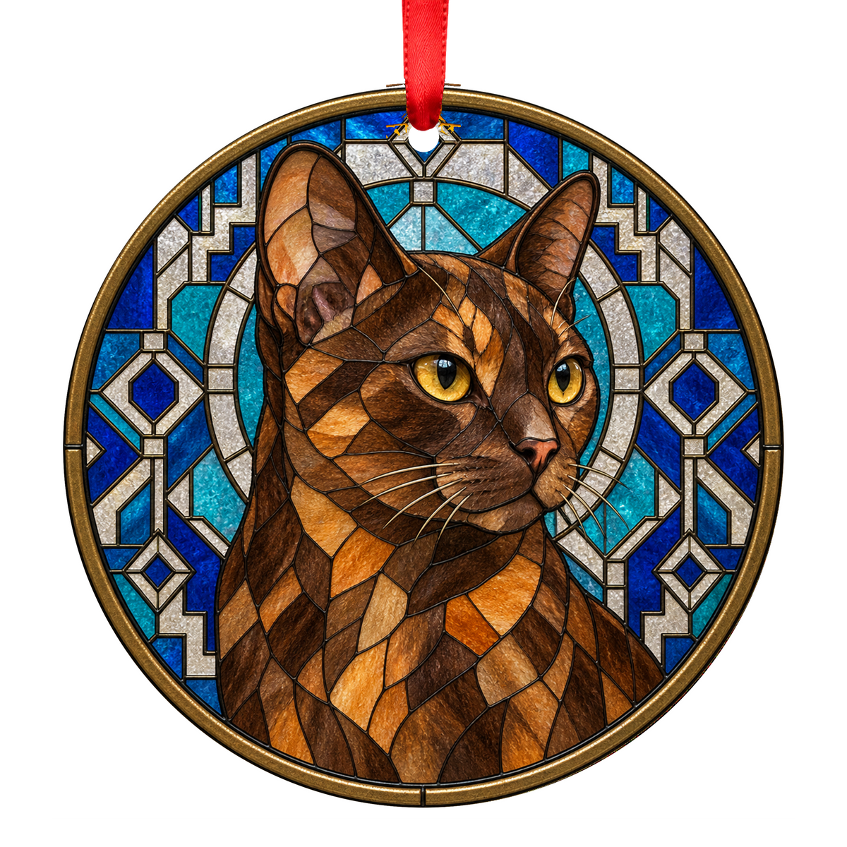 European Burmese Chocolate Tortoiseshell ORN-10683