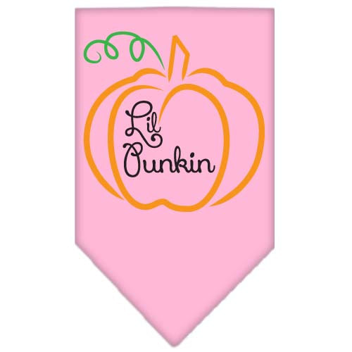 Halloween Pet and Dog Bandana Screen Printed, "Lil Punkin"