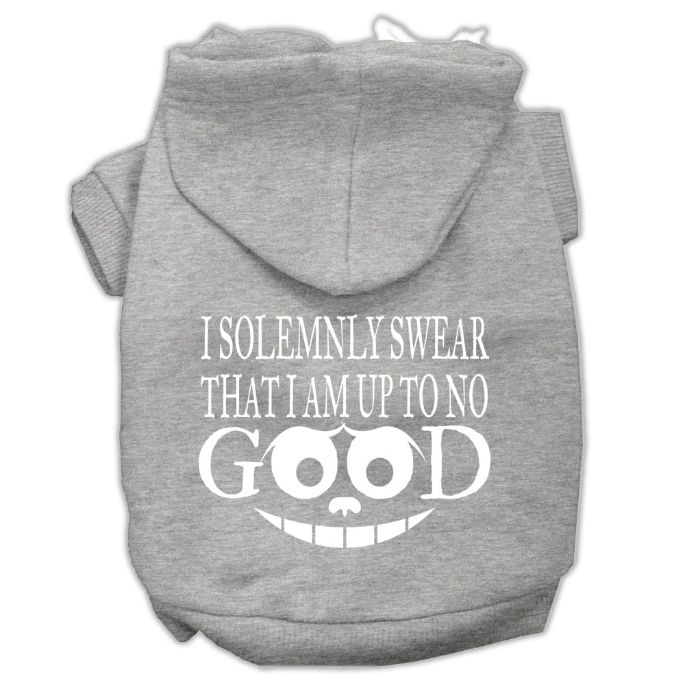 Pet Hoodie "I Solemnly Swear That I Am Up To No Good"